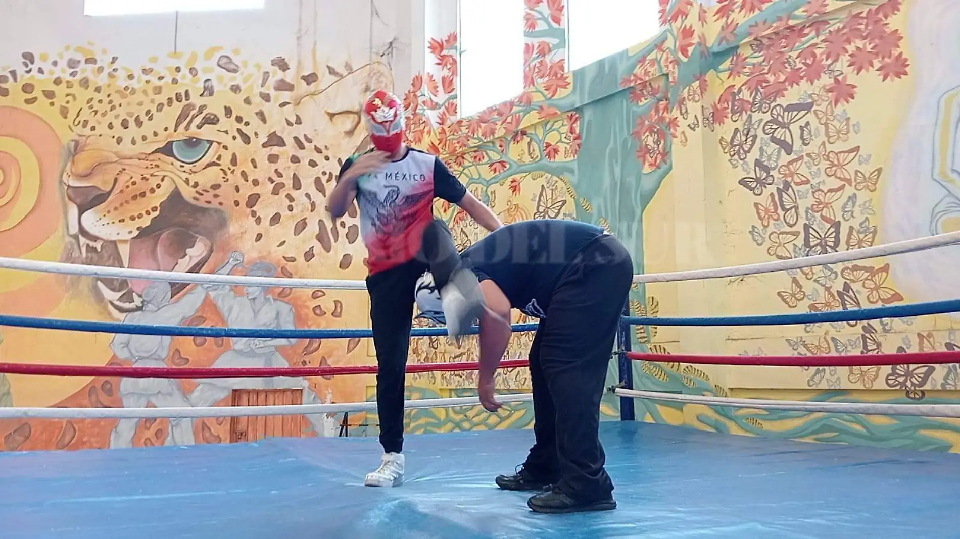 Lucha Libre2